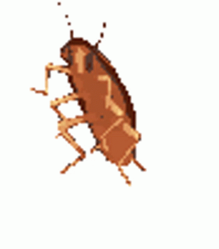 image.gif